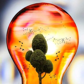 Environment & Waste Management